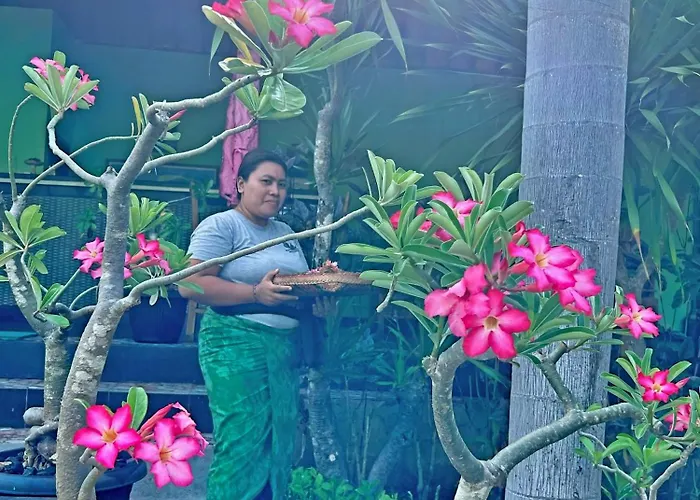 ベッド・アンド・ブレックファスト Island Garden Huts 4*