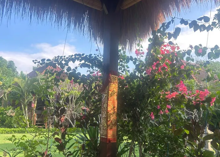 Island Garden Huts ベッド・アンド・ブレックファスト